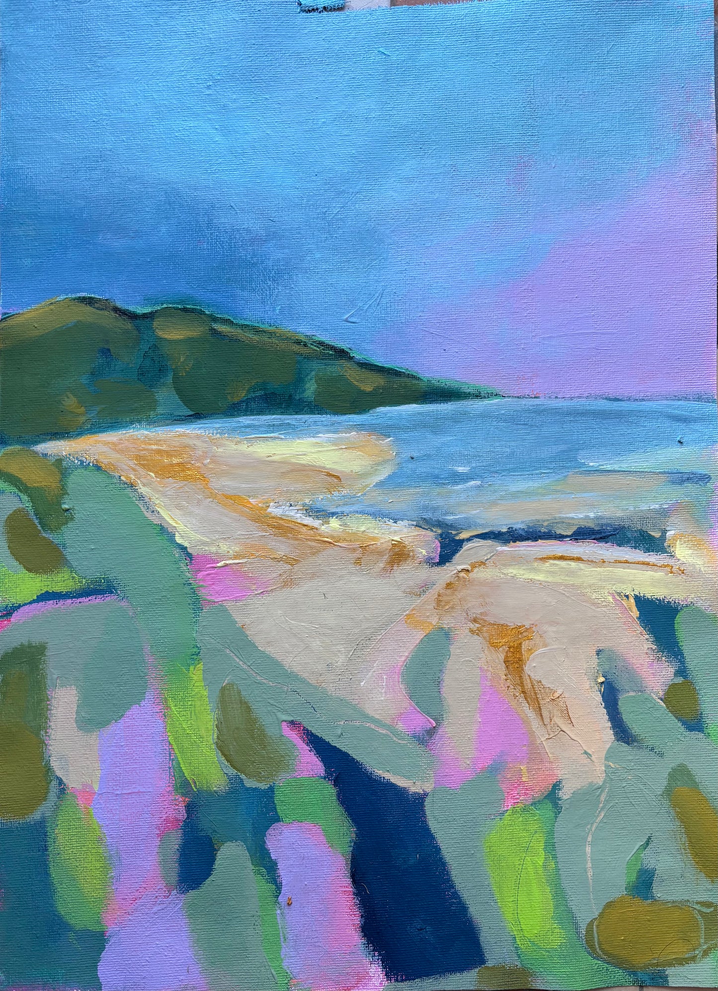 Somerset Coastline (with headland)